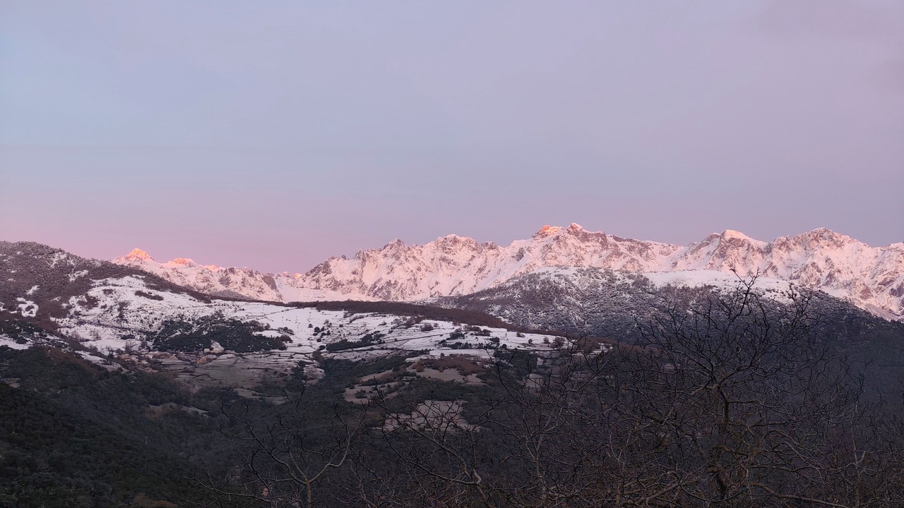 Photo of Others in Tollo