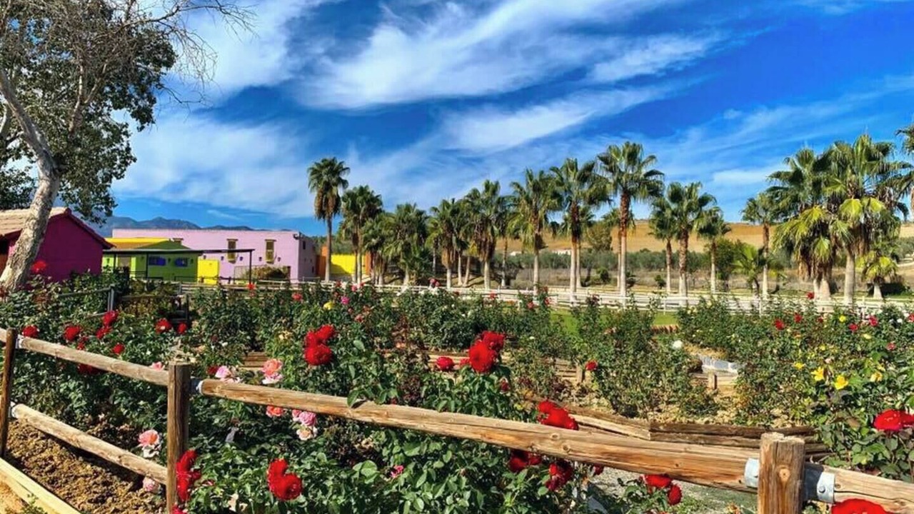 Photo of Outdoor in Coin