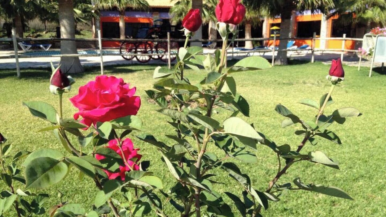 Photo of Outdoor in Coin