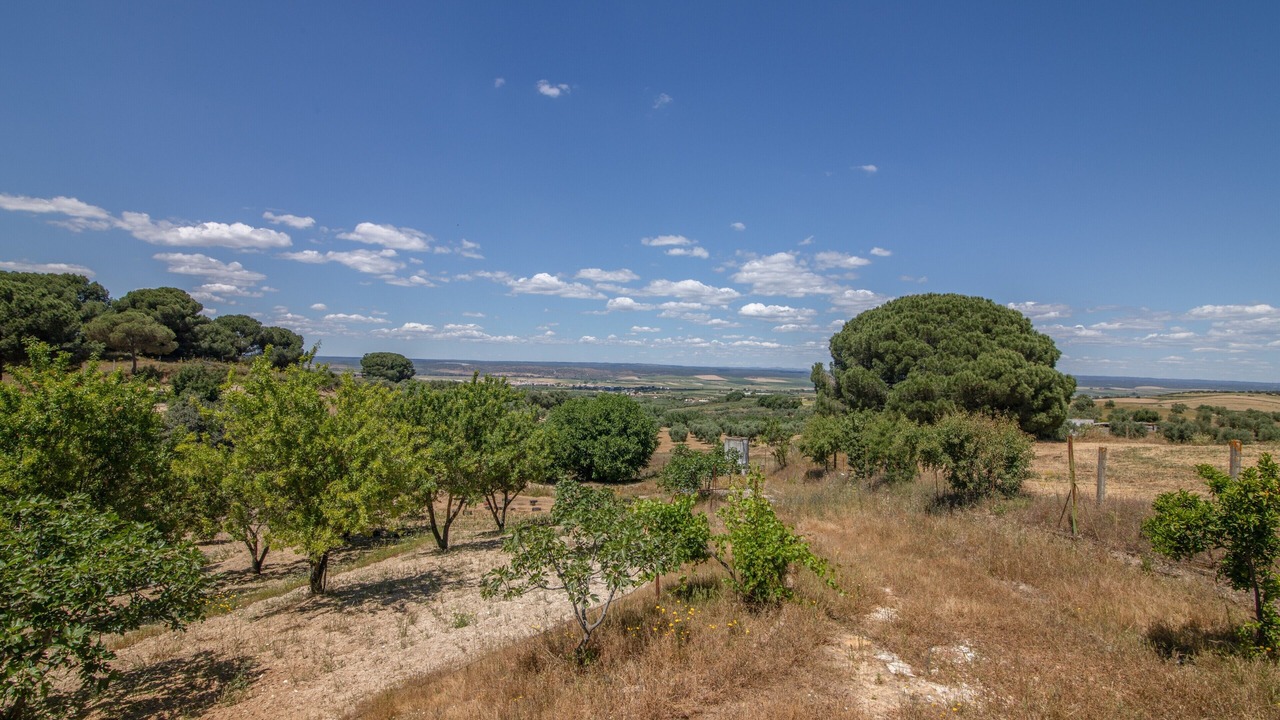 Photo of Others in Villarrasa