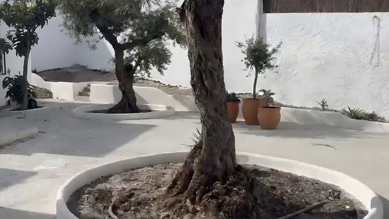 Photo of Outdoor in Nijar