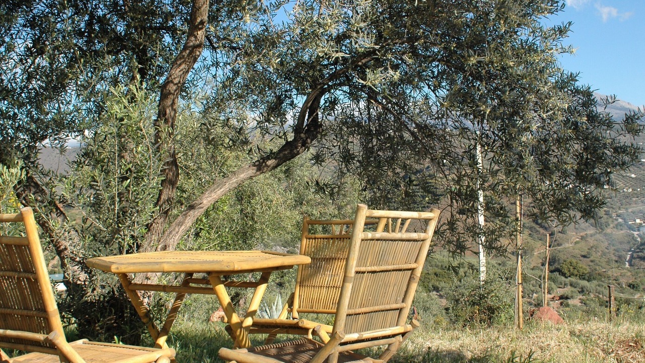 Photo of Outdoor in Comares