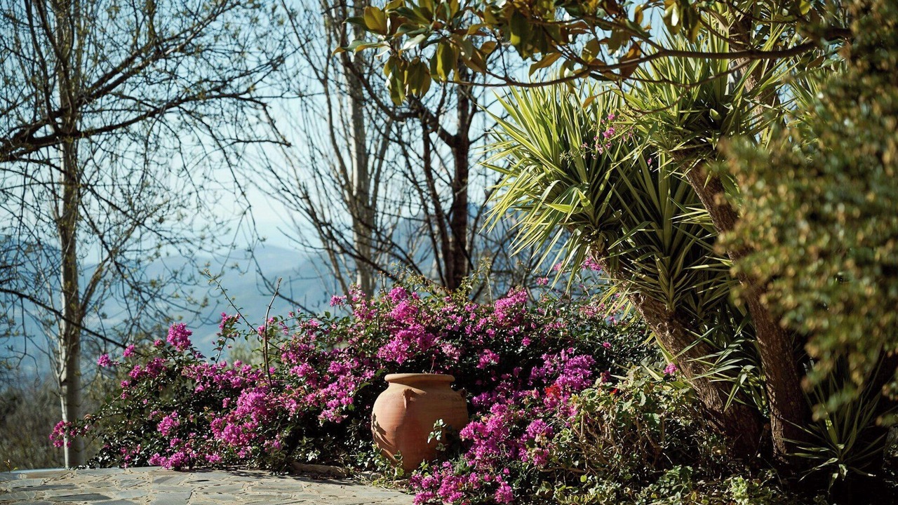 Photo of Outdoor in Lanjaron