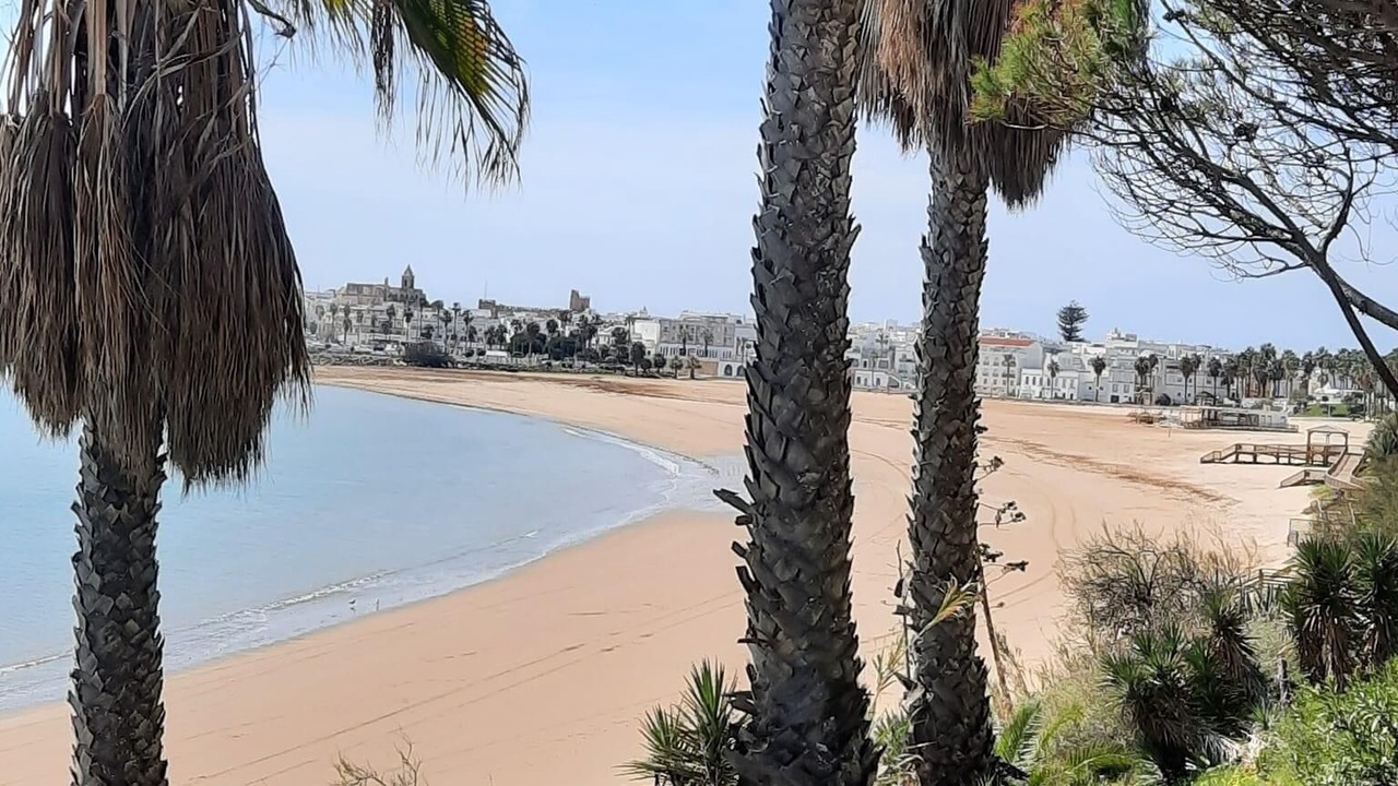 Photo of Others in Rota