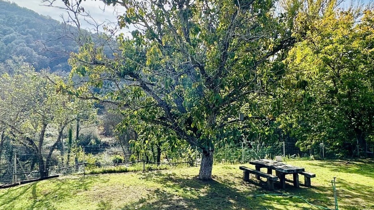 Photo of Outdoor in Constantina