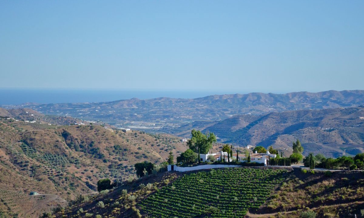Photo of Others in Canillas de Aceituno