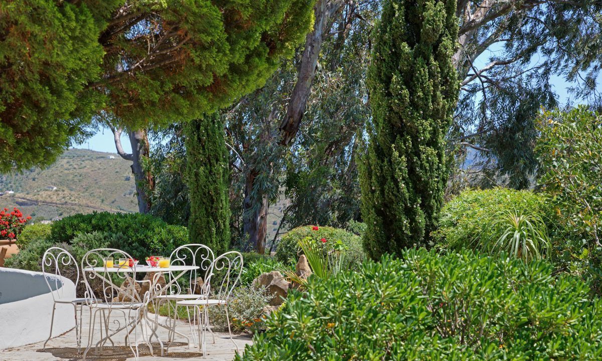 Photo of Outdoor in Canillas de Aceituno