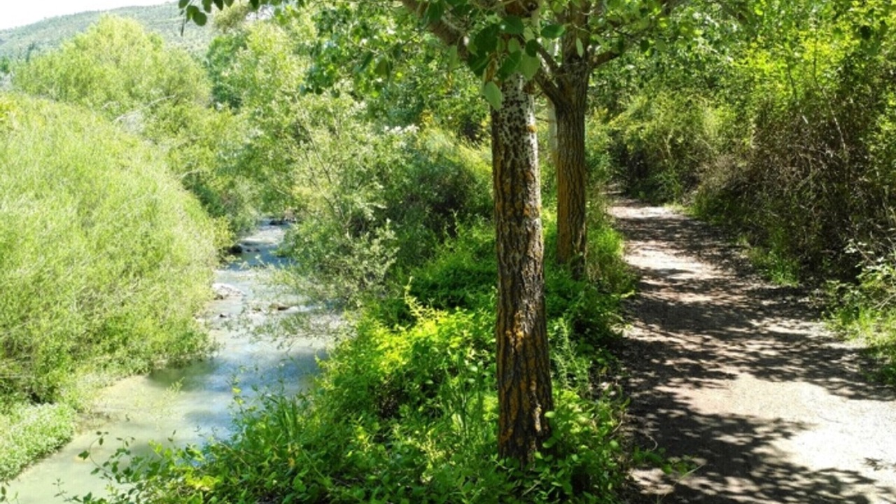 Photo of Others in Pinos Genil
