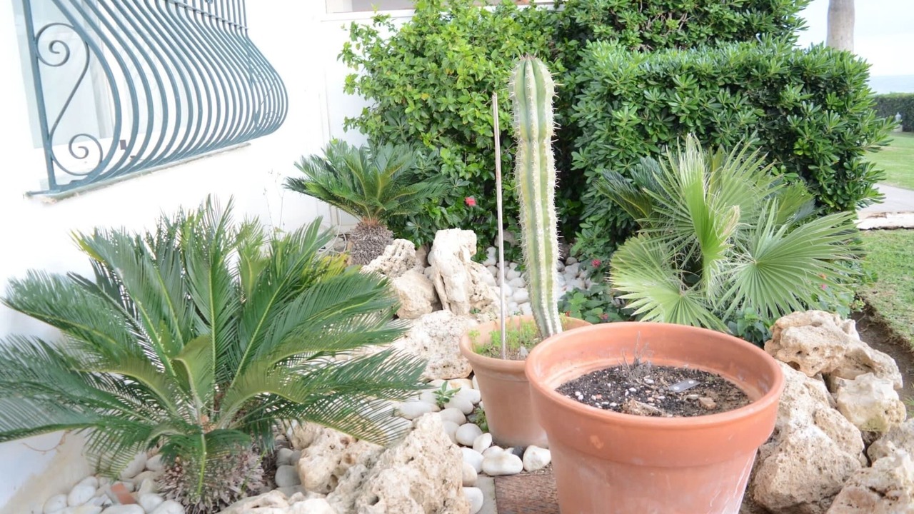Photo of Outdoor in Mijas