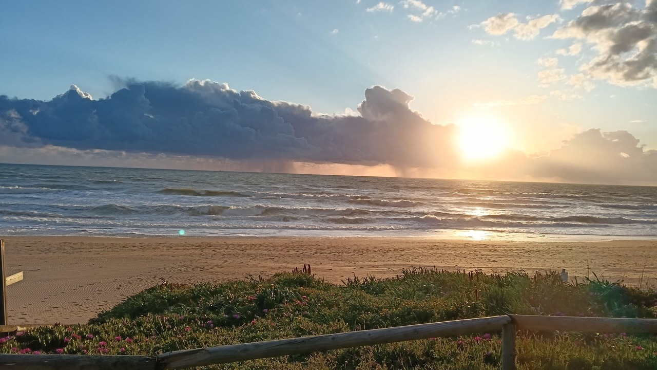 Photo of Others in El Palmar