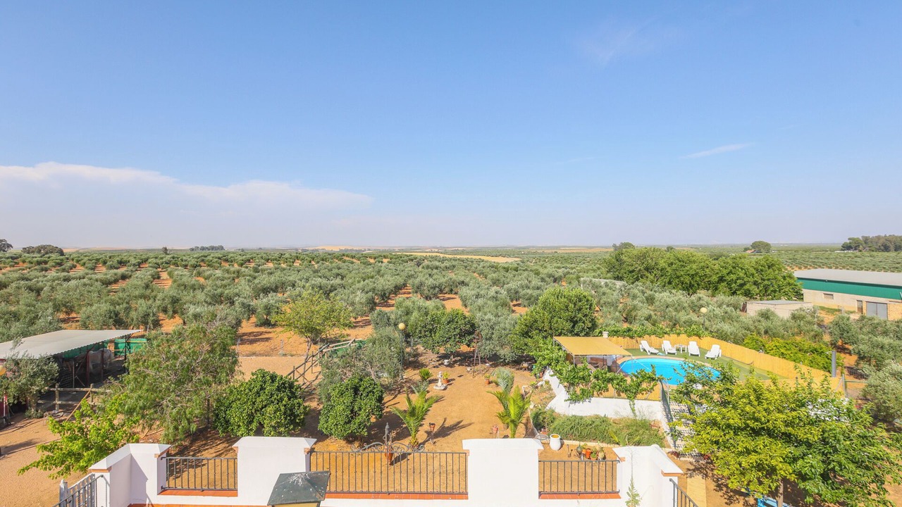 Photo of Outdoor in Marchena