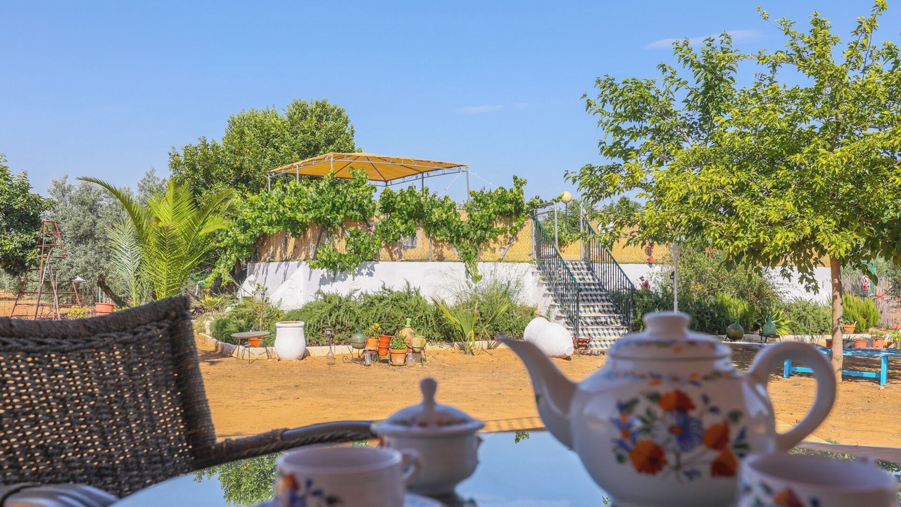 Photo of Outdoor in Marchena