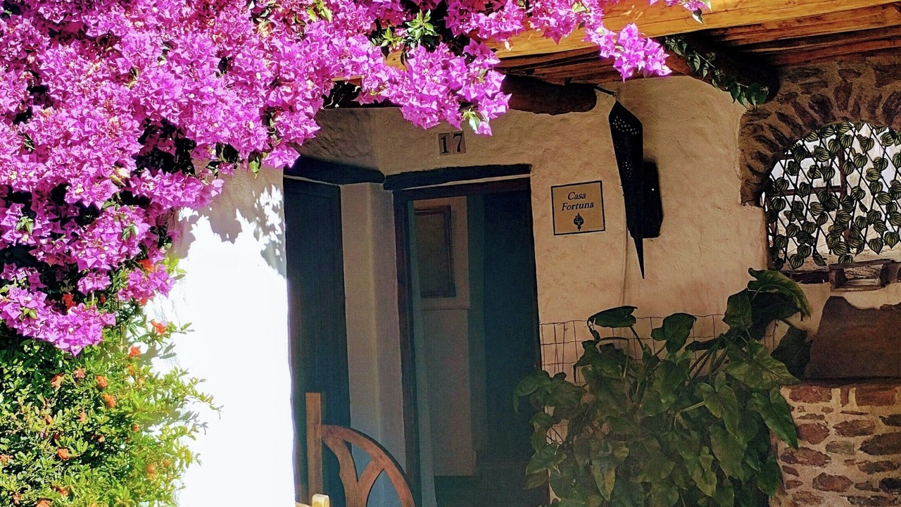 Photo of Outdoor in Ferreirola
