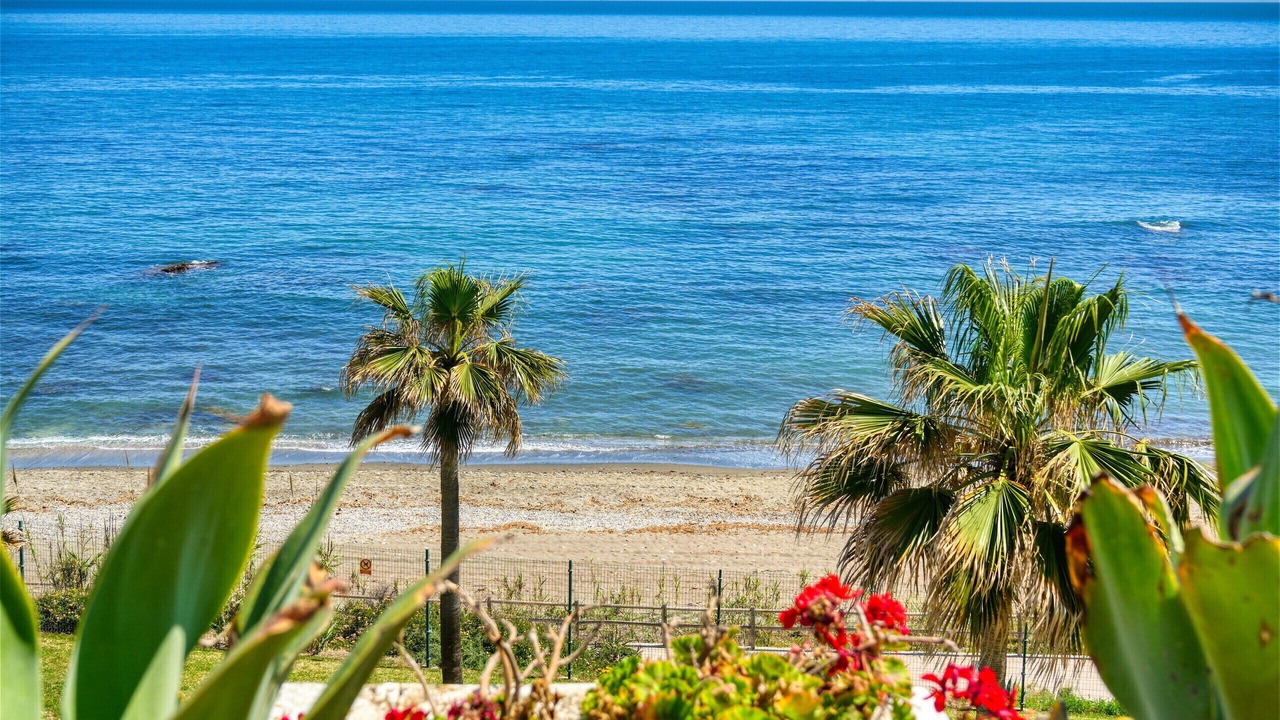 Photo of Others in Casares del Mar