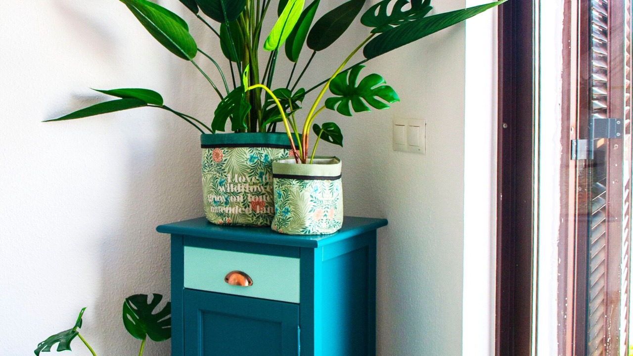 Photo of Others in Estepona