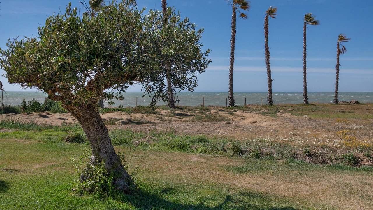 Photo of Others in Chipiona