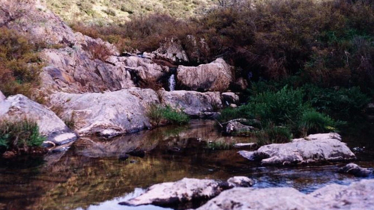 Photo of Others in Membrio