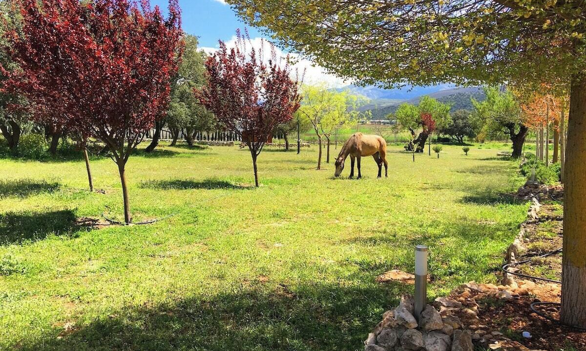 Photo of Others in Alhama de Granada
