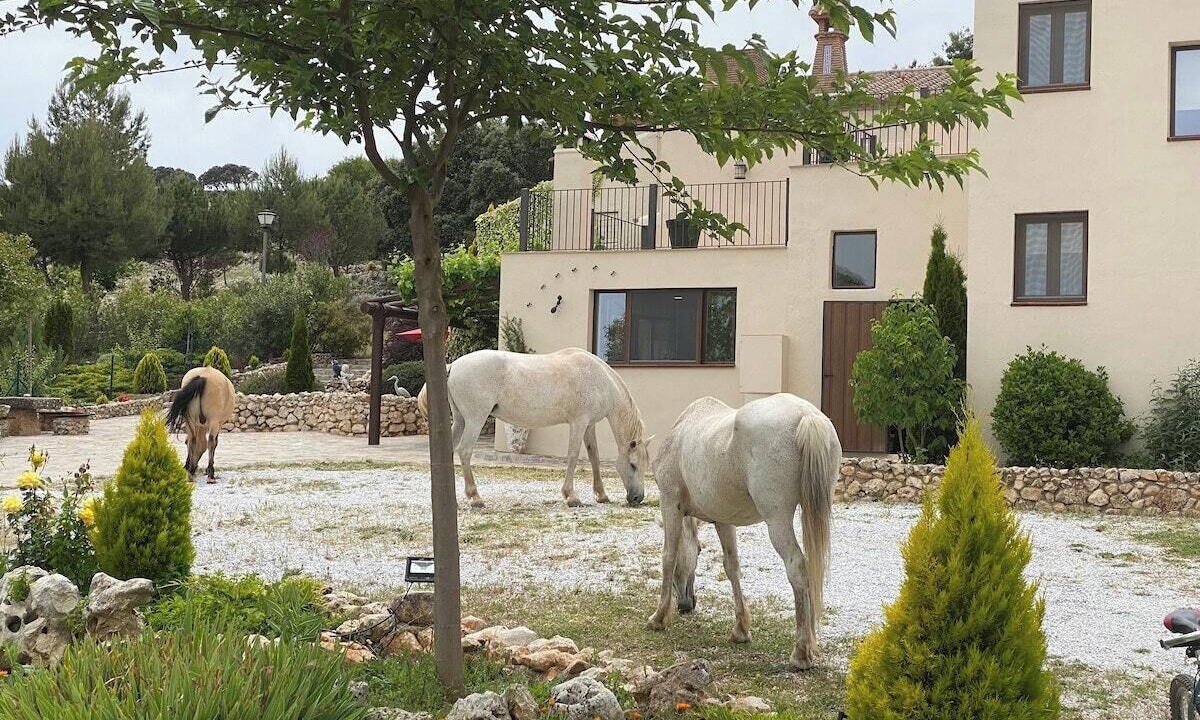 Photo of Outdoor in Alhama de Granada