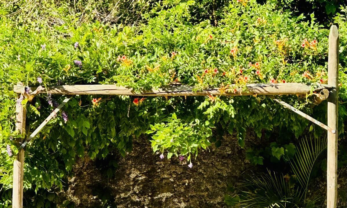 Photo of Outdoor in Jimena de la Frontera