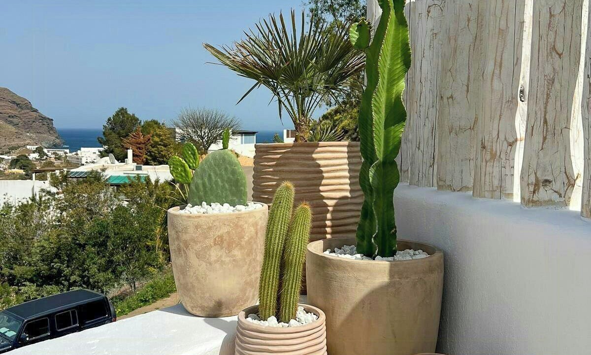 Photo of Outdoor in Las Negras