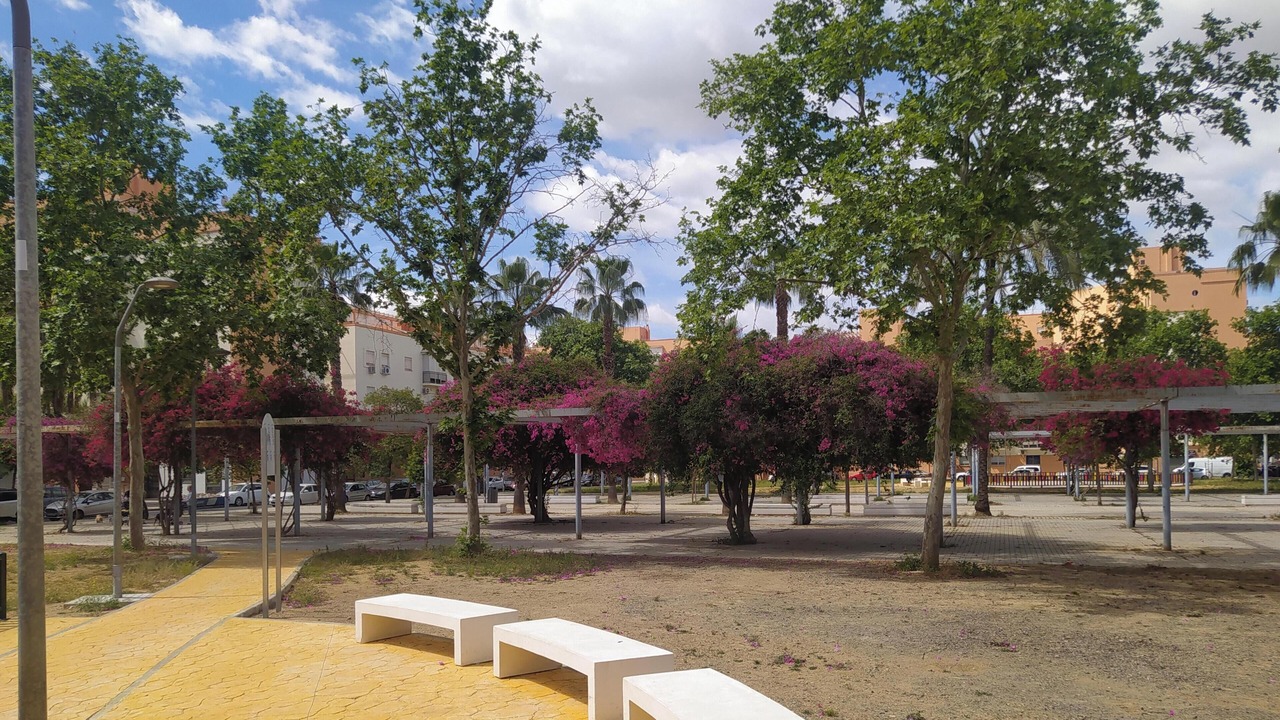Photo of Outdoor in Sevilla Este