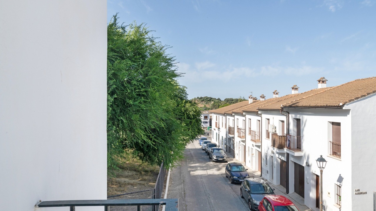 Photo of Outdoor in El Bosque