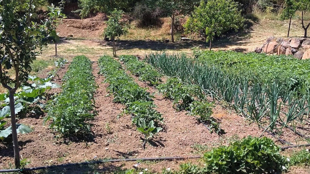 Photo of Outdoor in Monesterio