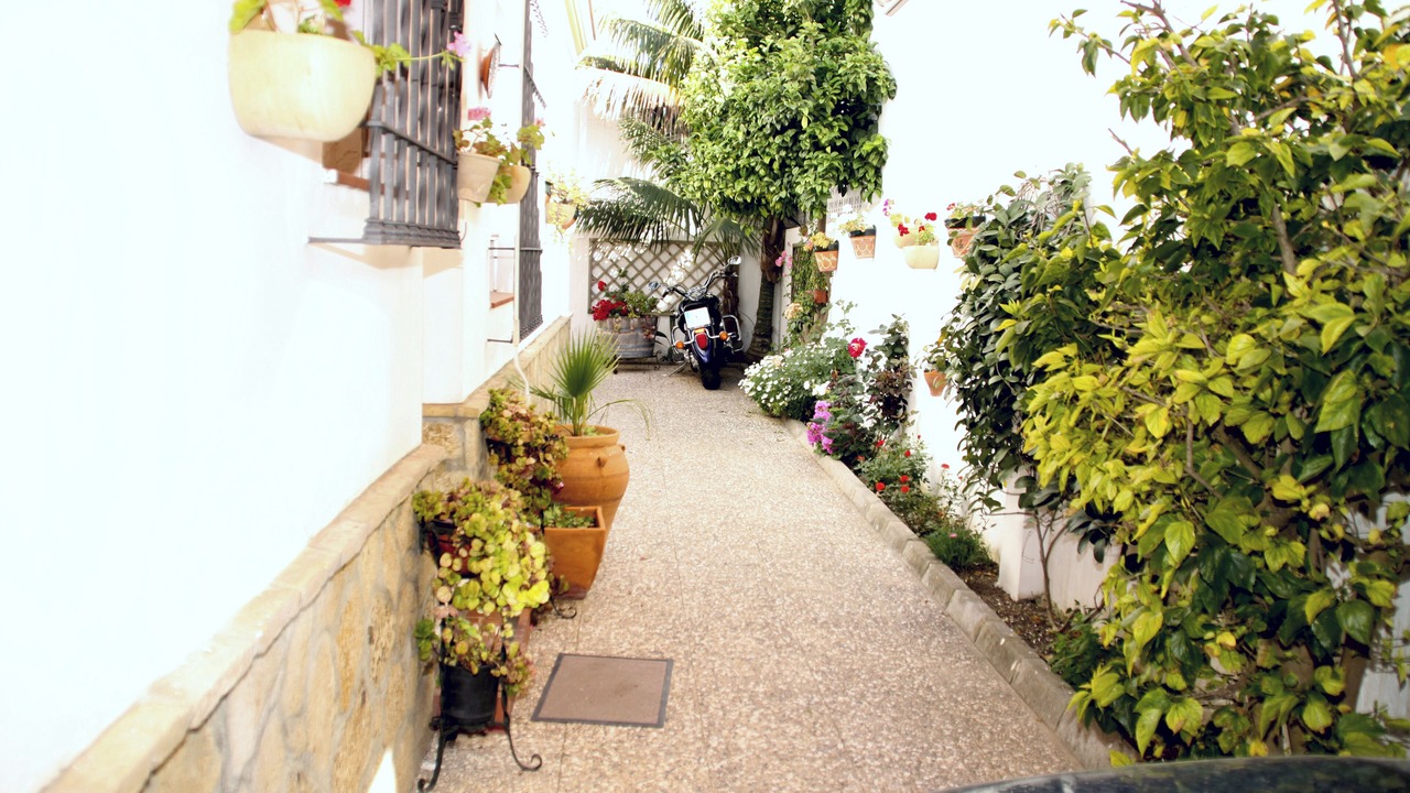 Photo of Outdoor in Chipiona