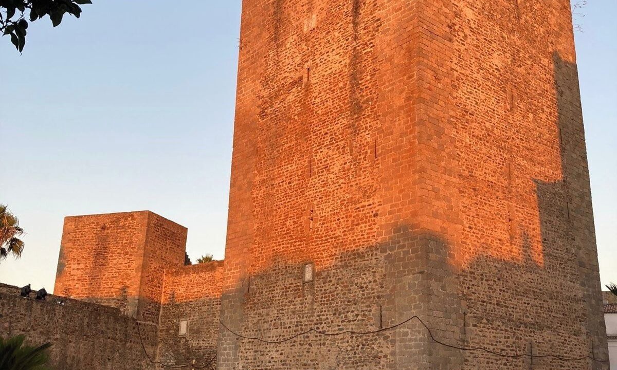 Photo of Others in Olivenza