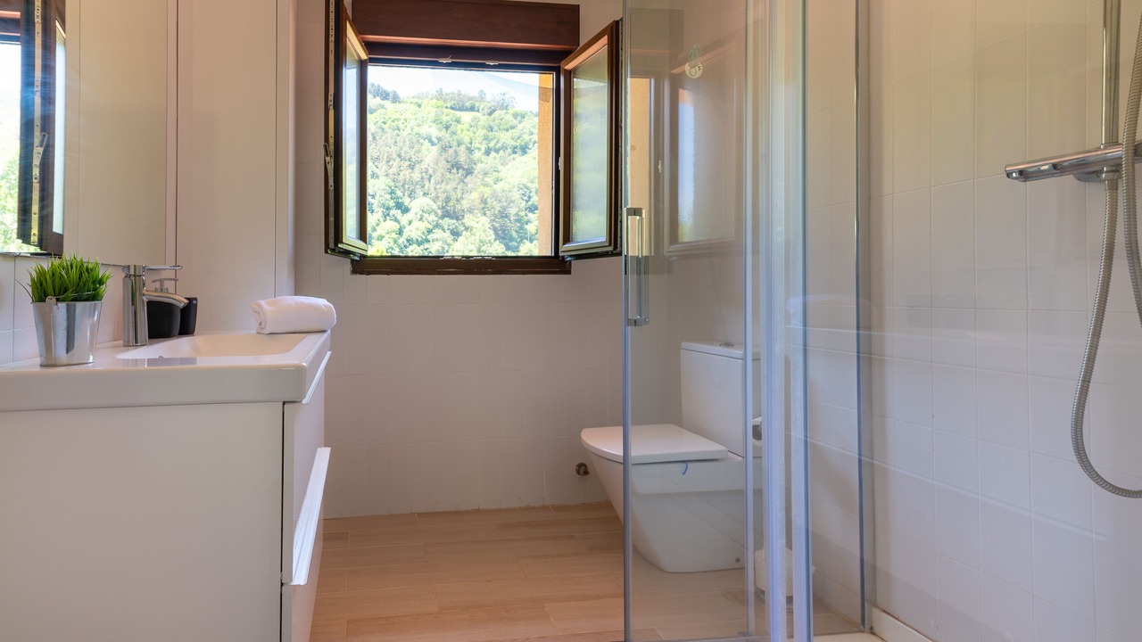 Photo of Bathroom in Lanestosa