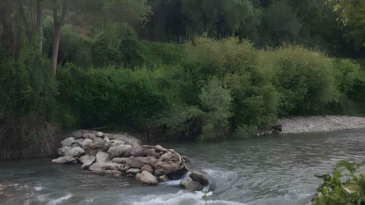 Photo of Others in Jimera de Libar