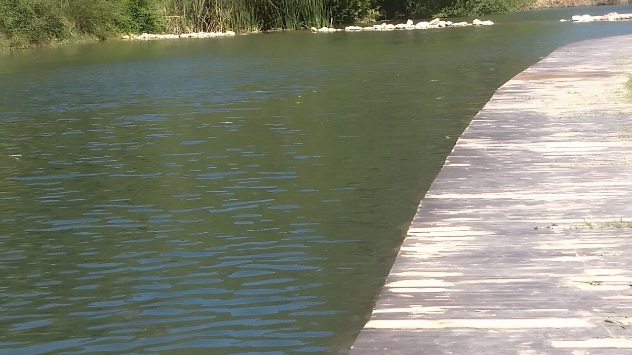 Photo of Others in Jimera de Libar
