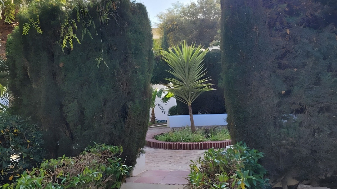 Photo of Outdoor in Aguadulce