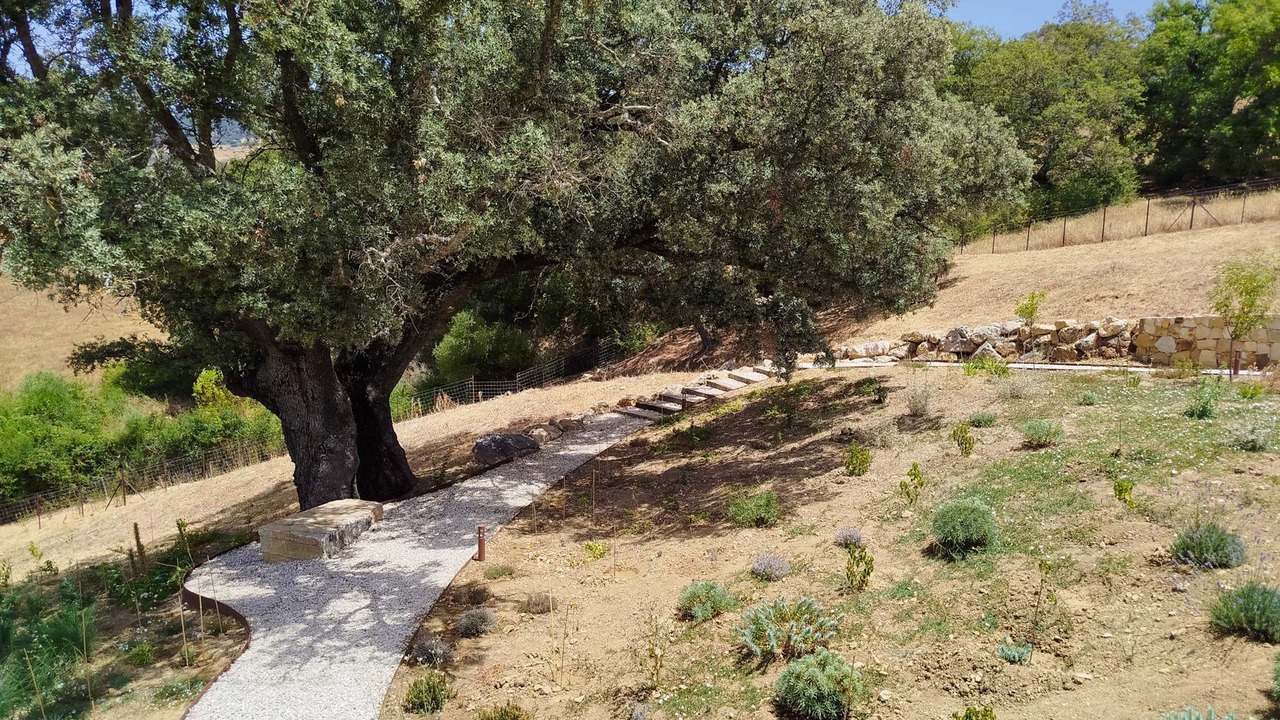 Photo of Outdoor in Algatocin