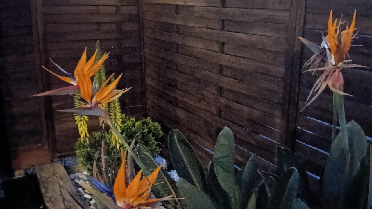 Photo of Outdoor in El Palmar