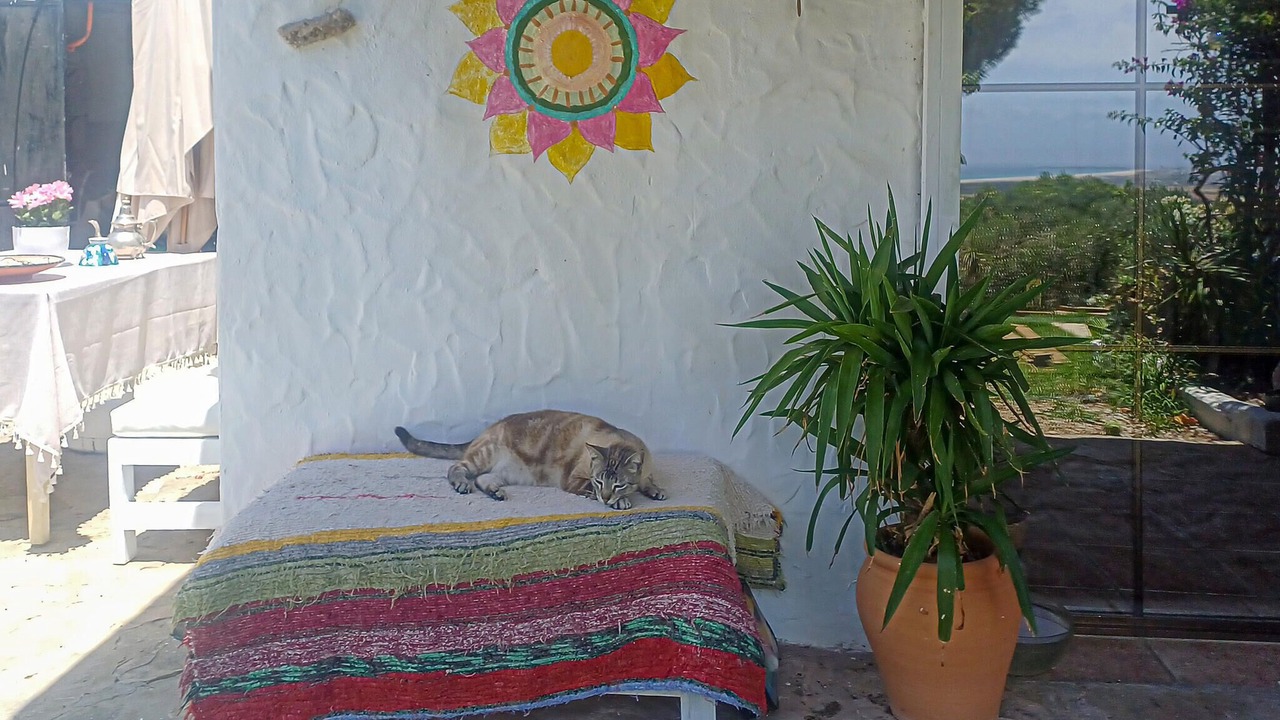 Photo of Others in Tarifa