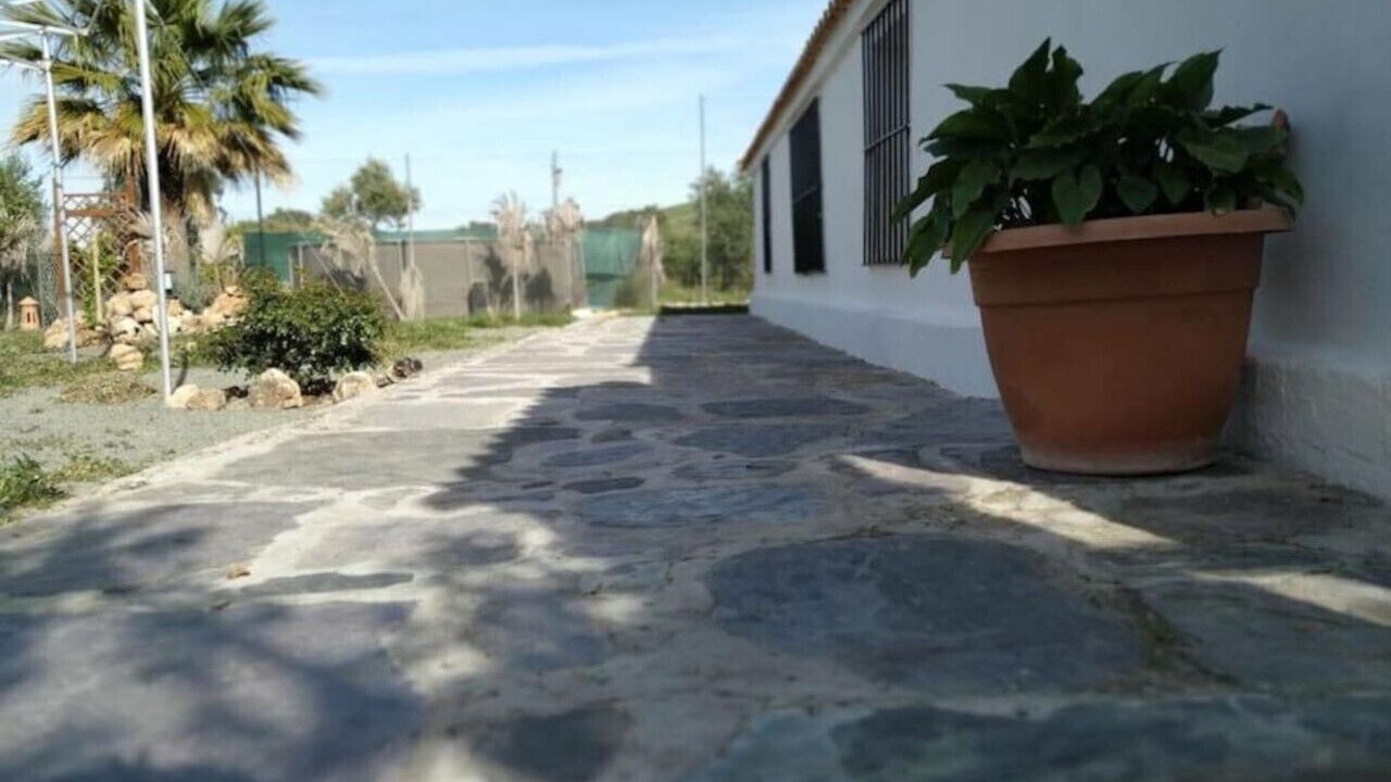 Photo of Outdoor in Montellano