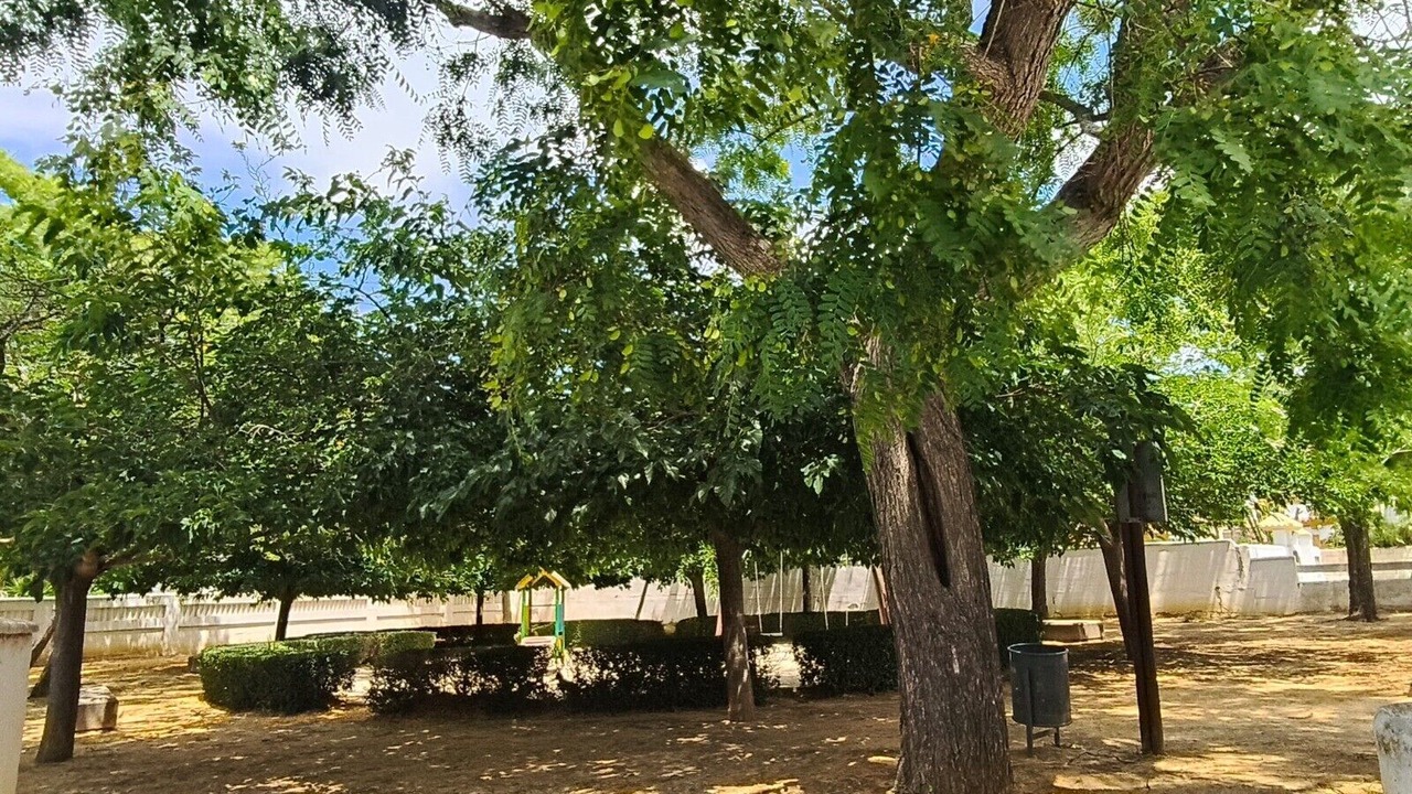 Photo of Outdoor in Los Gallos-Cerromolino
