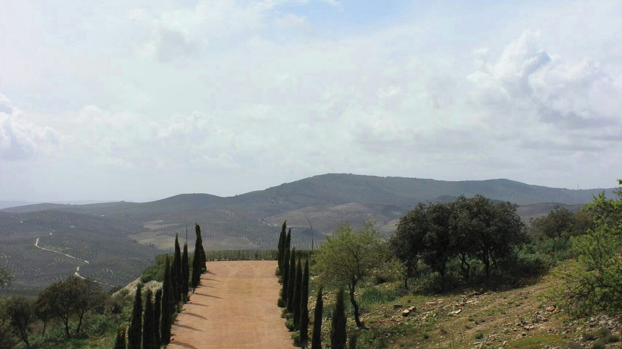 Photo of Others in Baena