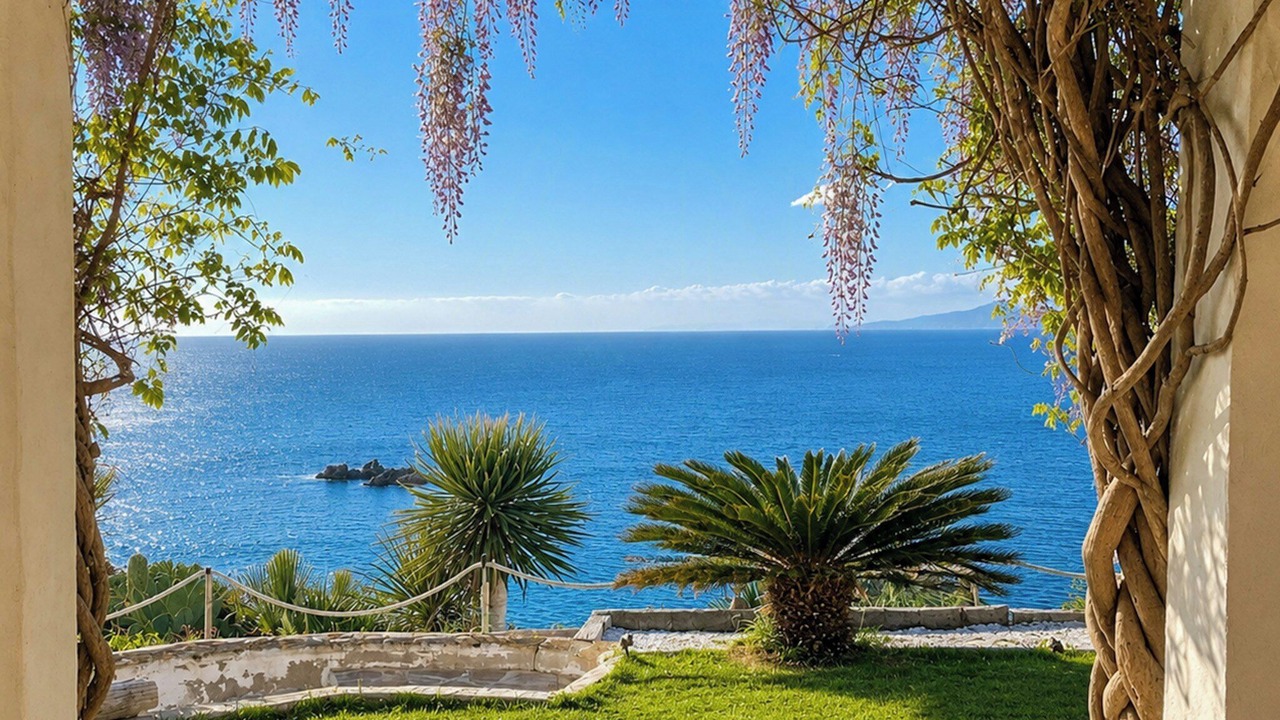 Photo of Outdoor in Cabrita