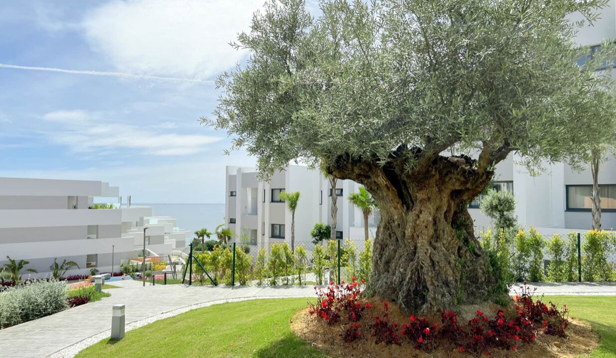 Photo of Outdoor in Puerto de la Duquesa
