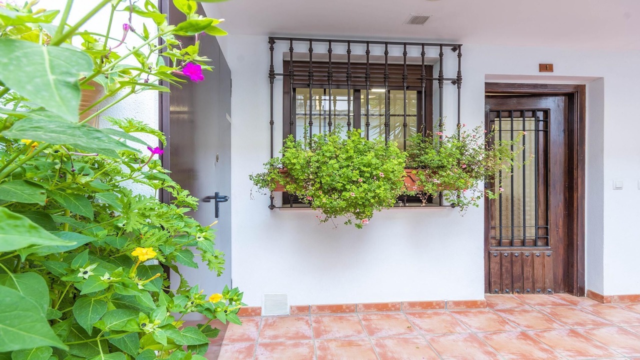 Photo of Outdoor in San Pedro