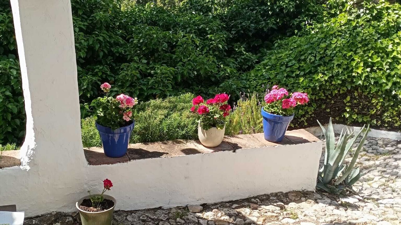 Photo of Outdoor in Montecorto