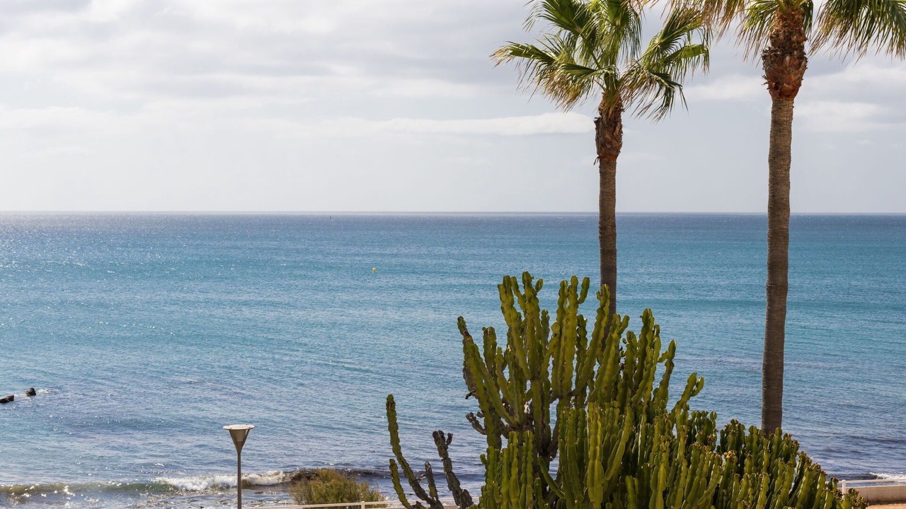 Photo of Others in Buenas Noches