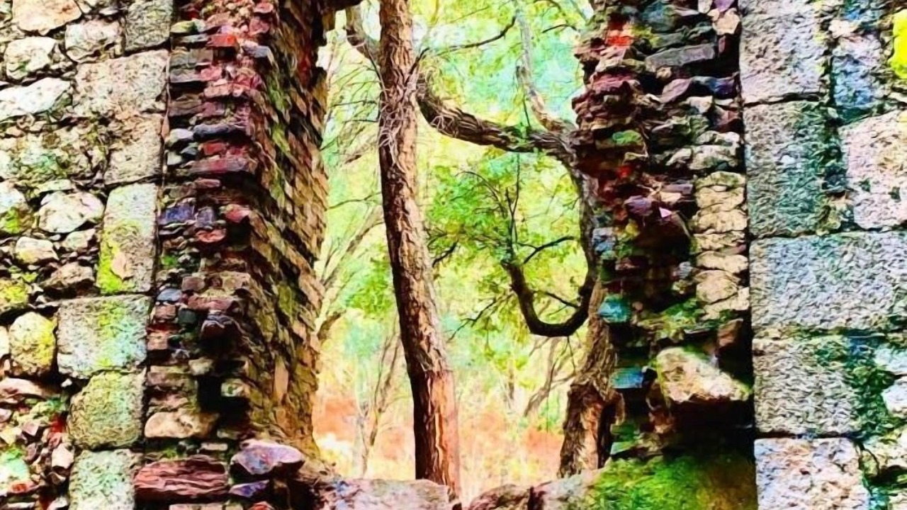Photo of Outdoor in Gata