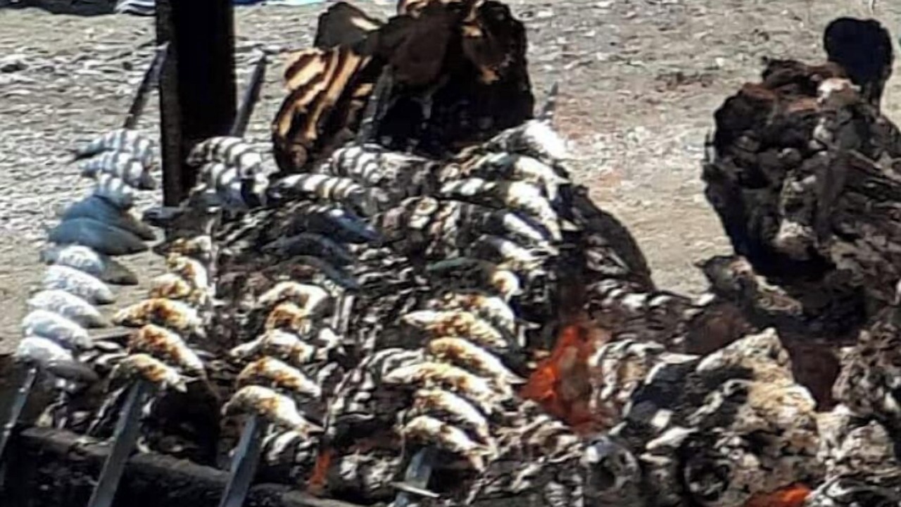 Photo of Others in Mezquitilla