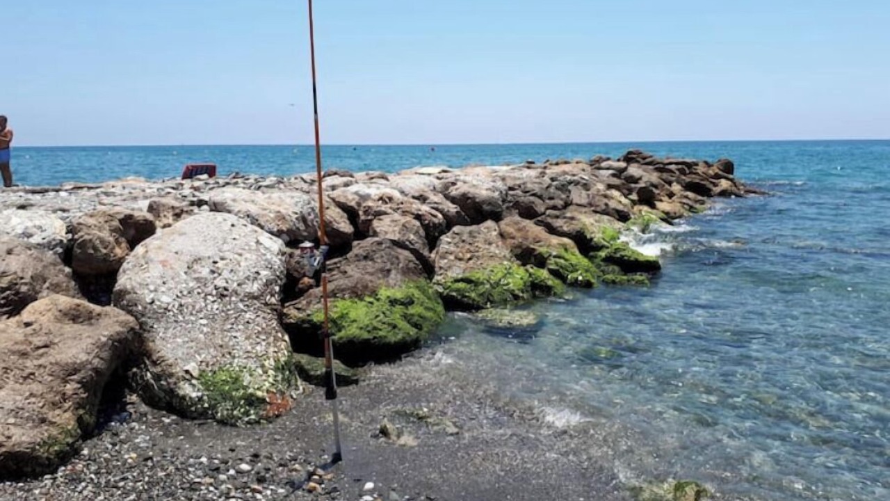 Photo of Others in Mezquitilla