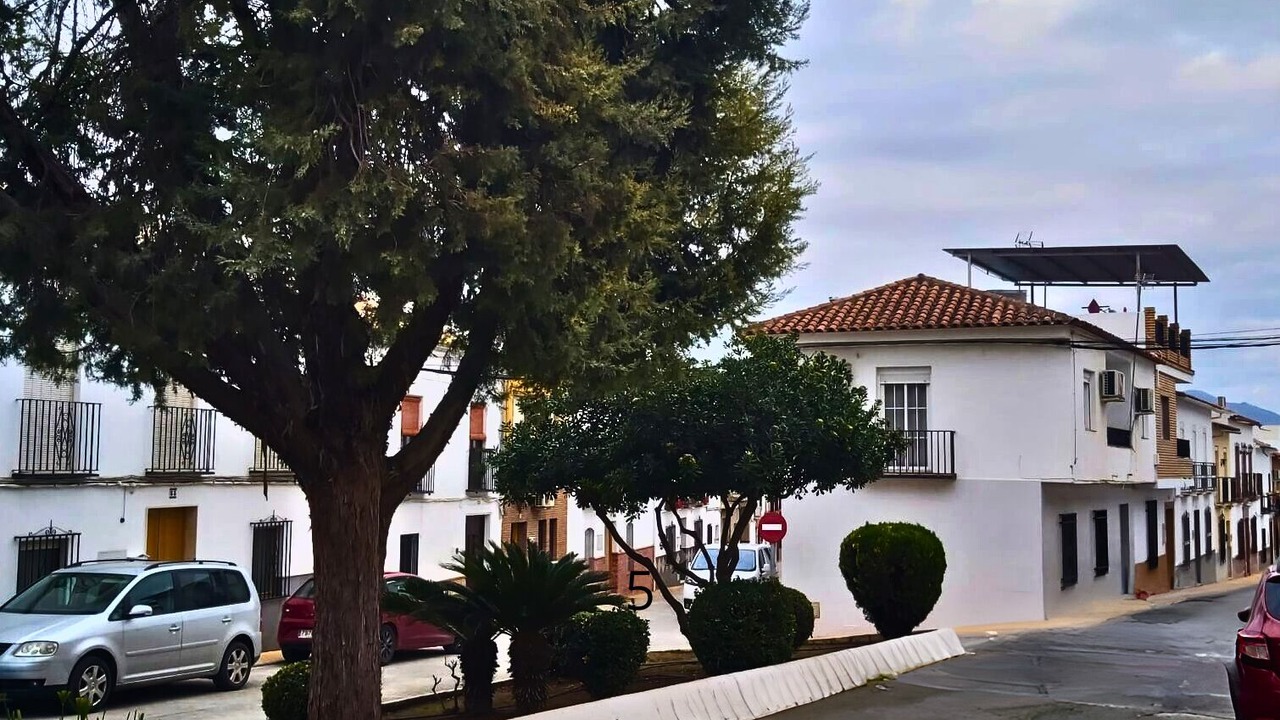 Photo of Others in Encinas Reales