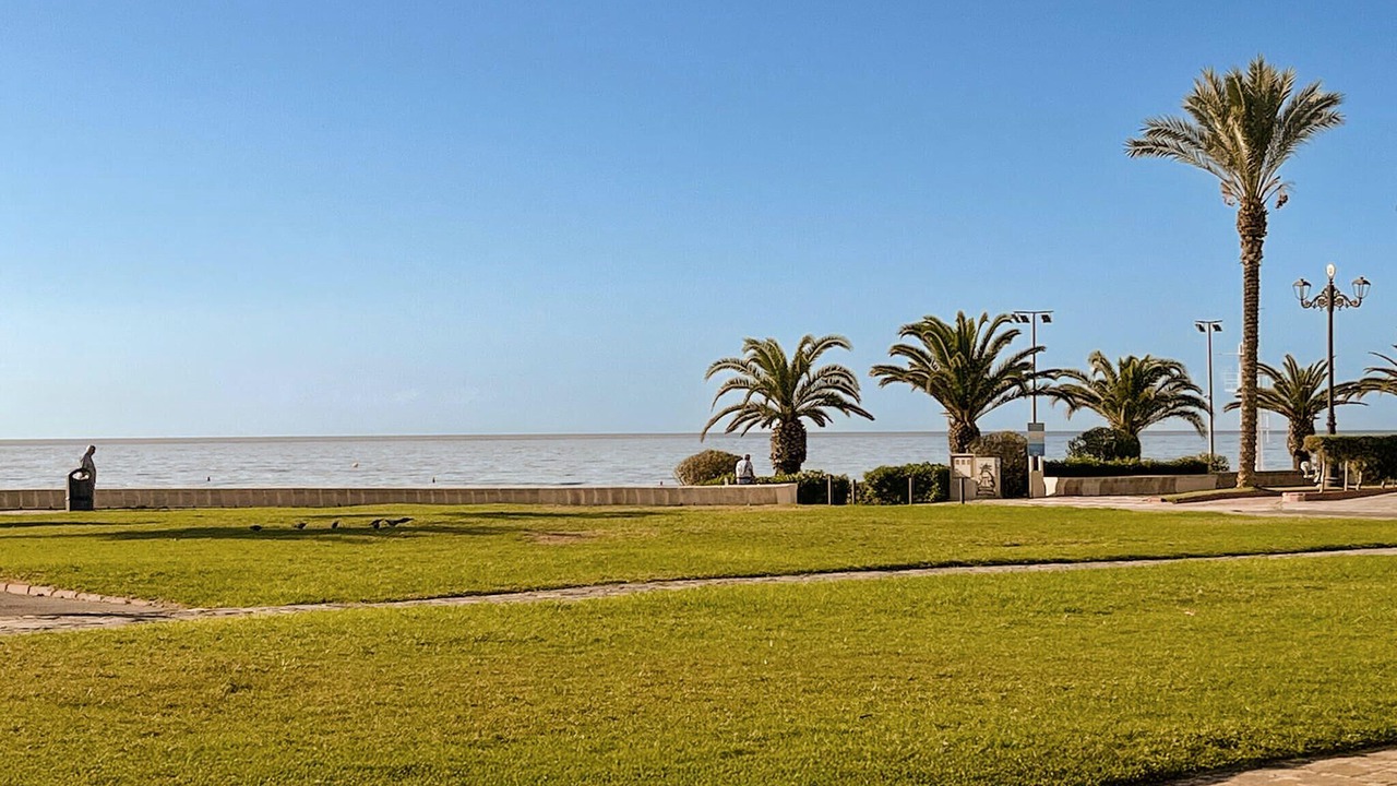 Photo of Others in Aguadulce